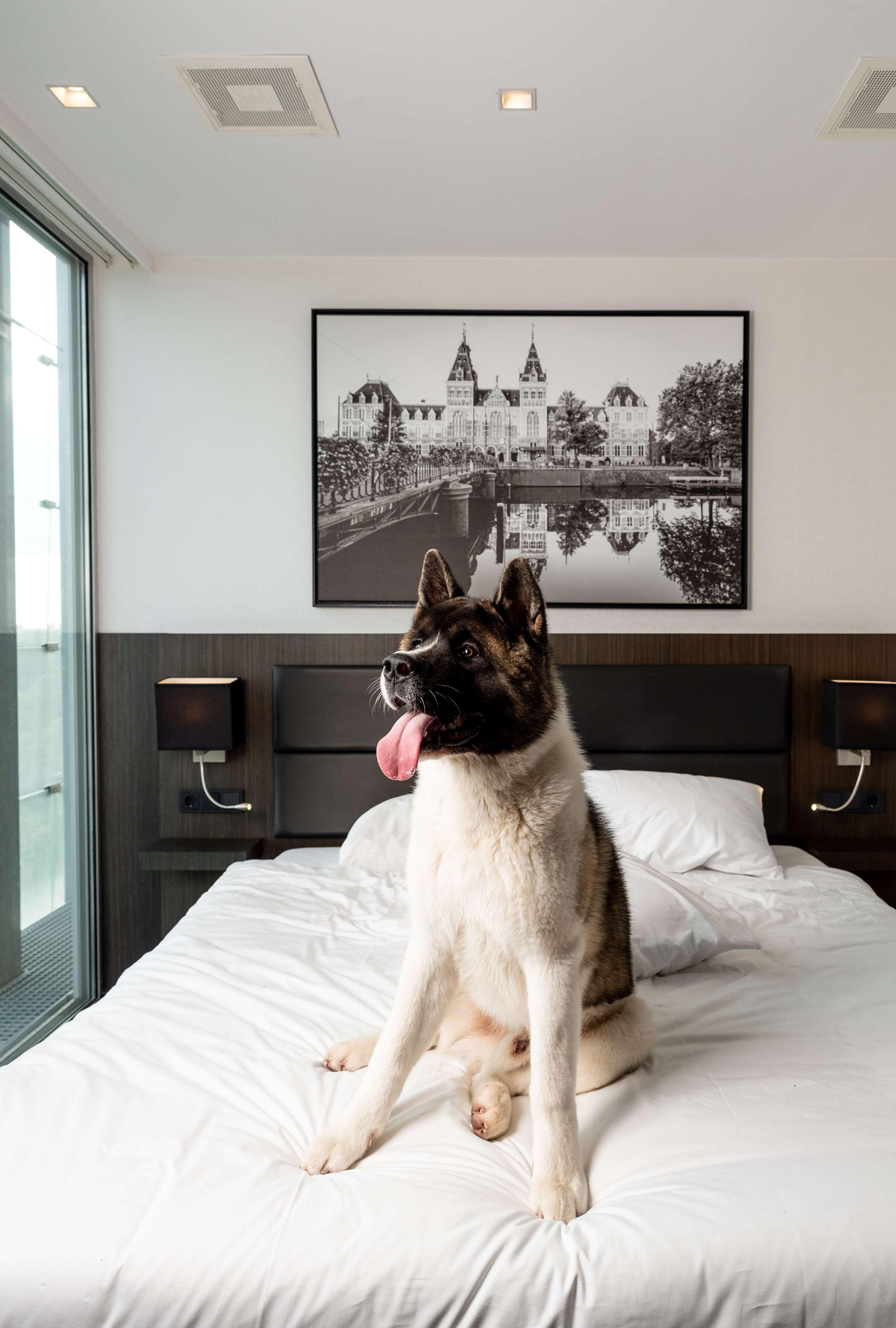 Radisson Hotel And Suites Amsterdam South エクステリア 写真